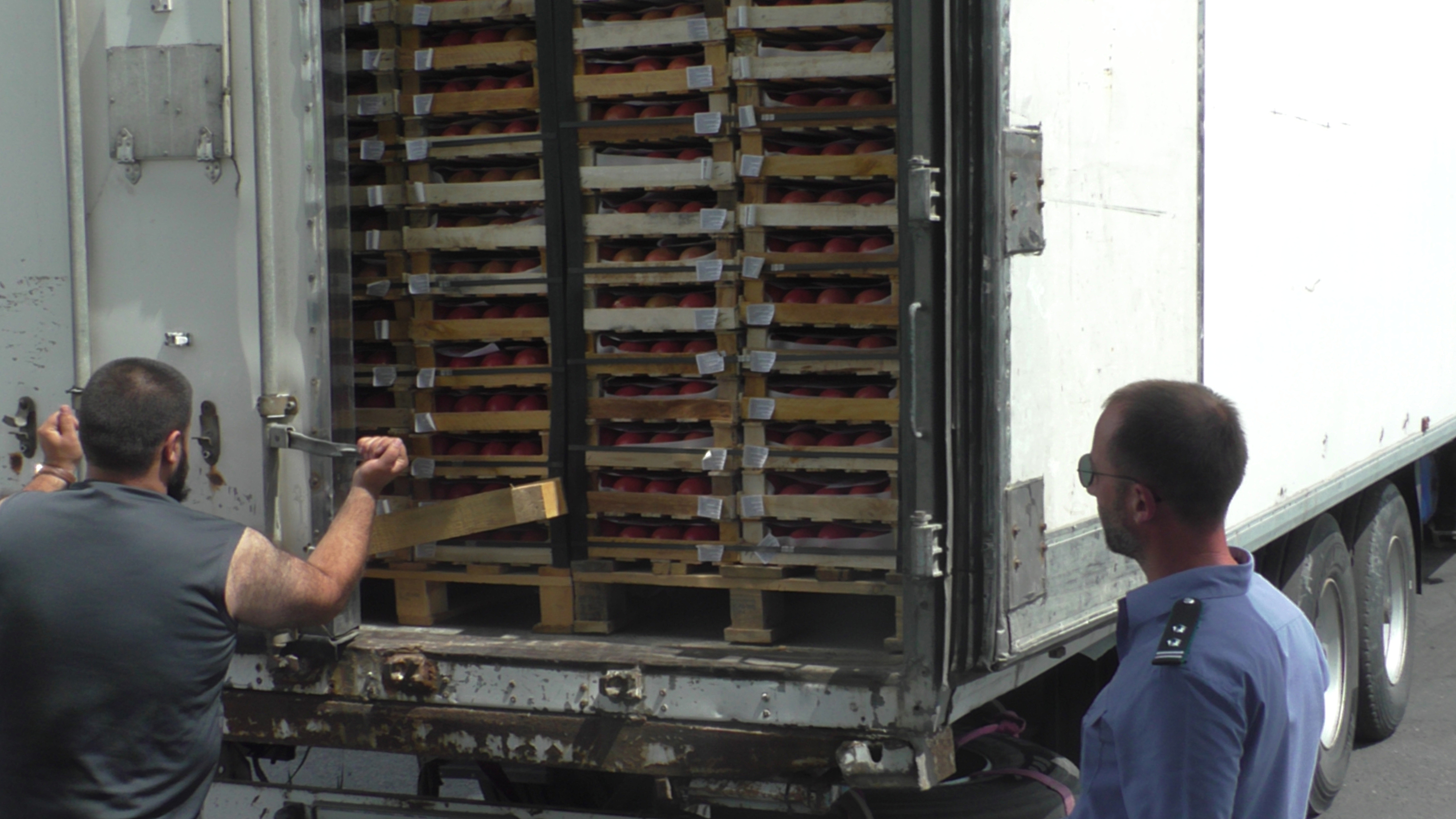 В Дагестане пресечен ввоз 180 тонн зараженных овощей и фруктов