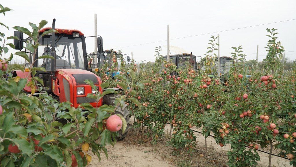 Дагестан стал лидером по закладке новых садов в России