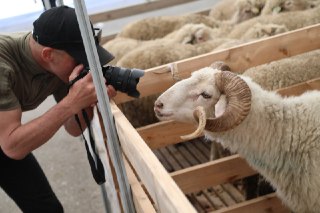 Дагестанский АПК: 4 года прогресса и значимых для аграрной сферы результатов