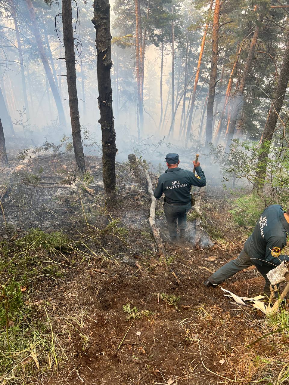 В Ботлихском районе продолжают тушить возгорание сухой травы