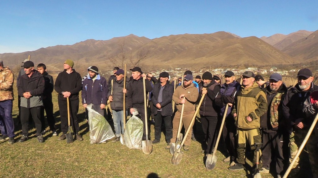 800 сосен для восстановления Хрюгского леса высадили в Ахтынском районе