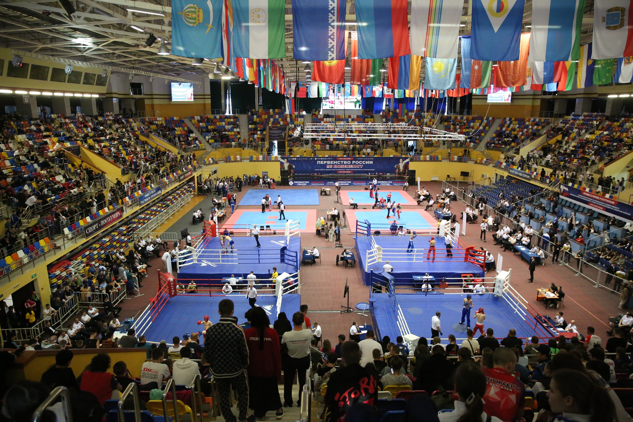 Дагестан впервые примет Чемпионат России по кикбоксингу