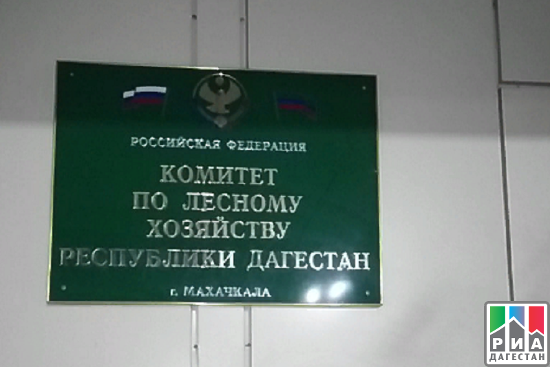 Улакай Улакаев освобожден от должности зампредседателя Комитета по лесному хозяйству РД