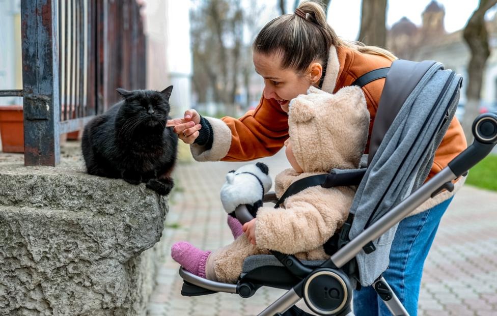 ГД продлила программу маткапитала до конца 2030 года