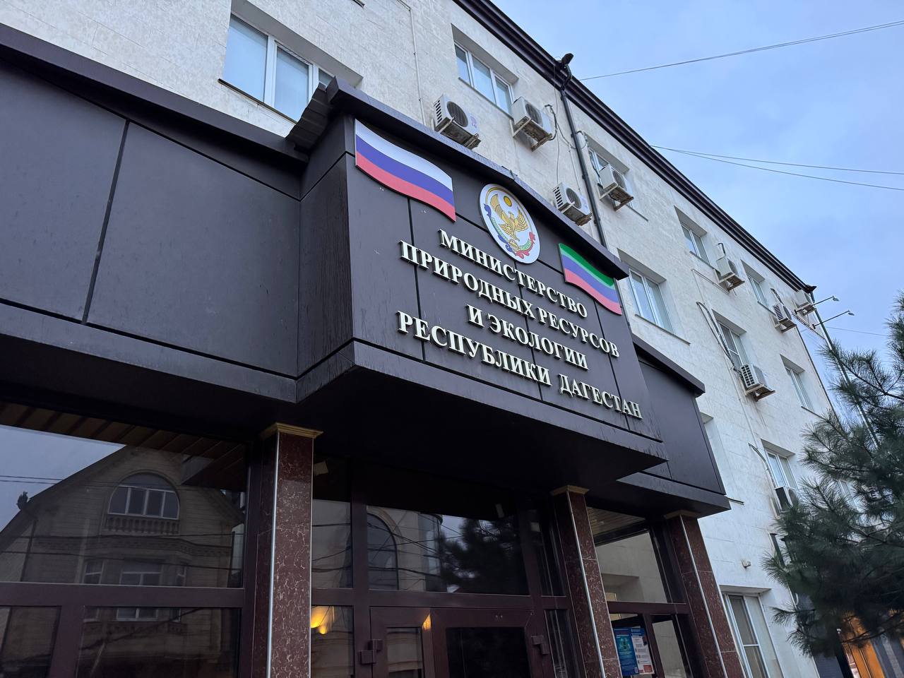 Минприроды: «В Дагестане впервые подсчитана точная численность зимующих хищных птиц»