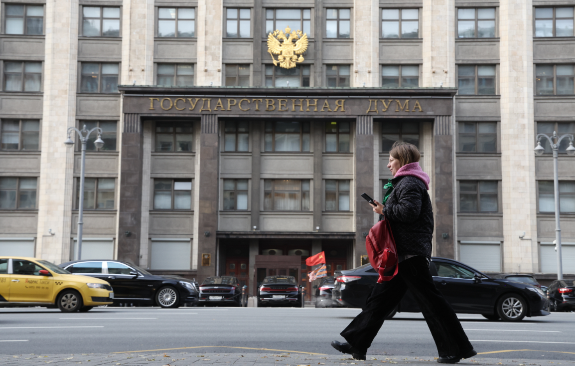 В ГД внесут законопроект о выплате прожиточного минимума домохозяйкам