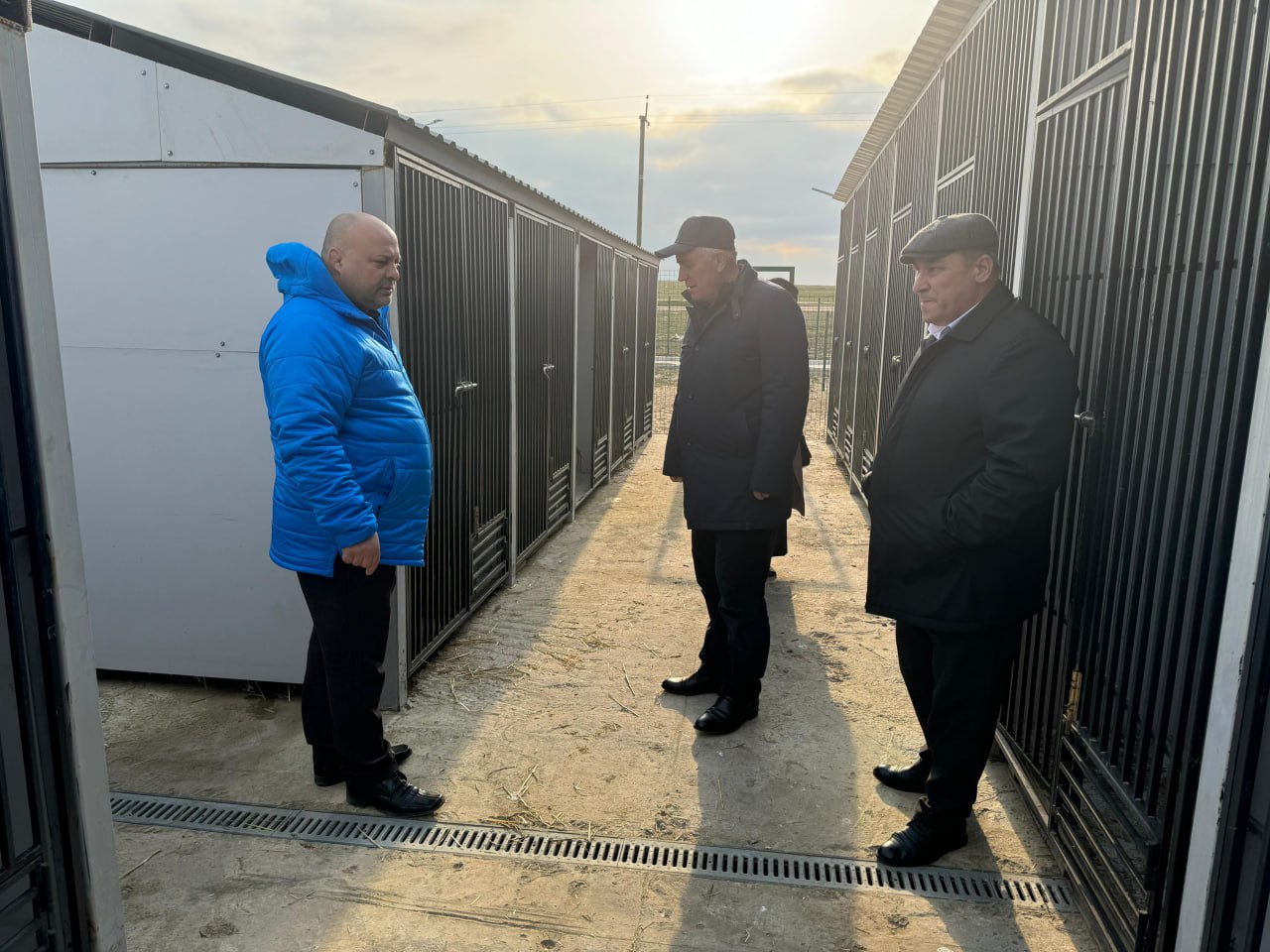 Глава ветеринарного комитета Дагестана оценил работу нового приюта для животных в Дербенте
