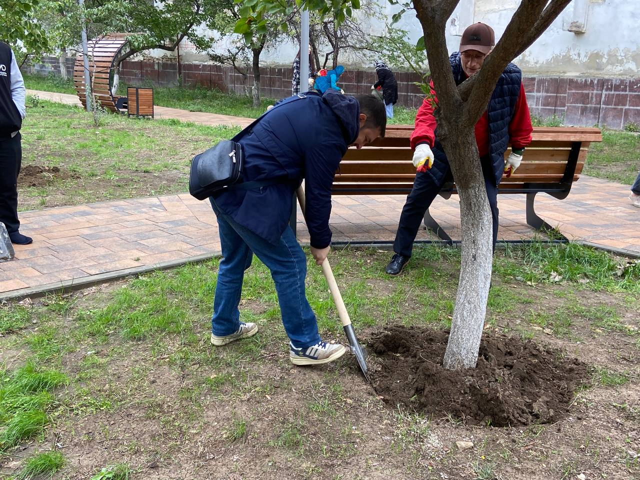 Изображение 2