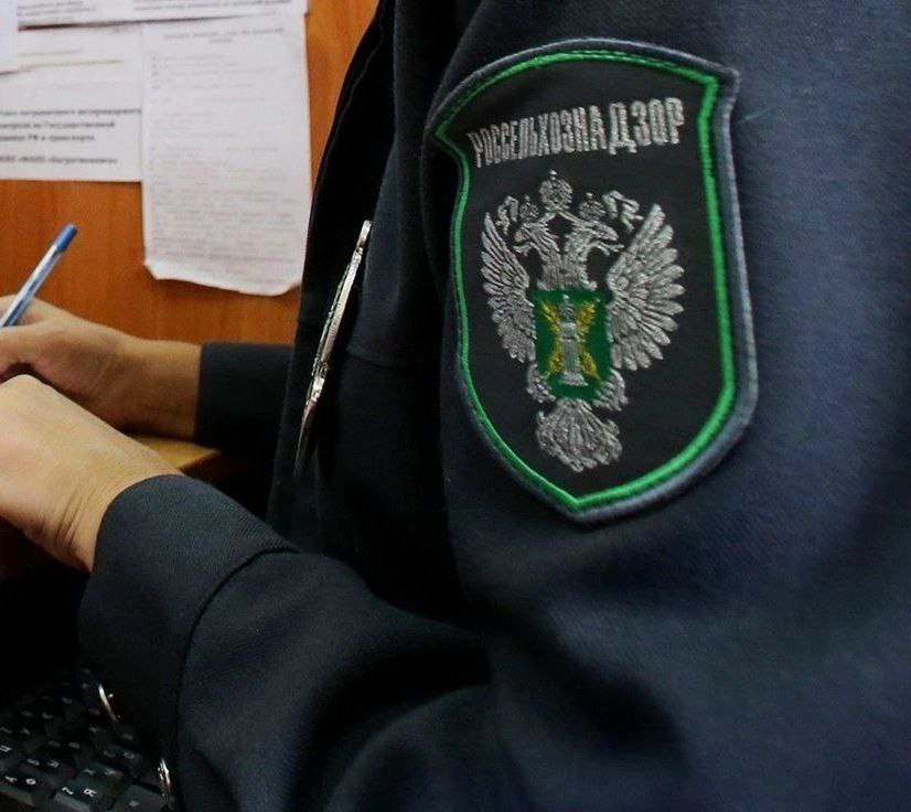 В Карабудахкентском районе Дагестана введен карантин из-за вируса томатов