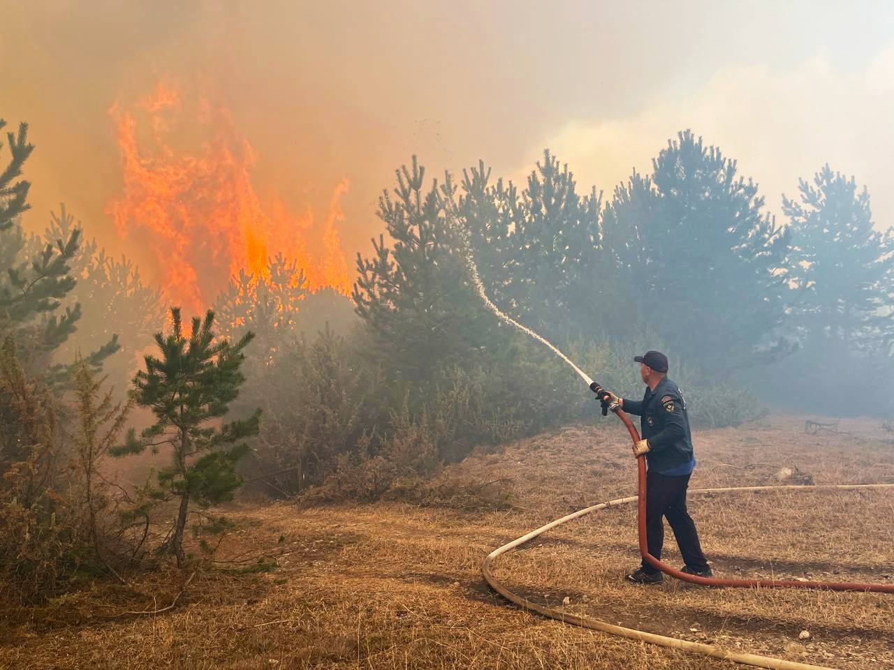 В Дагестане потушили пожар в природном парке «Хунзахский»