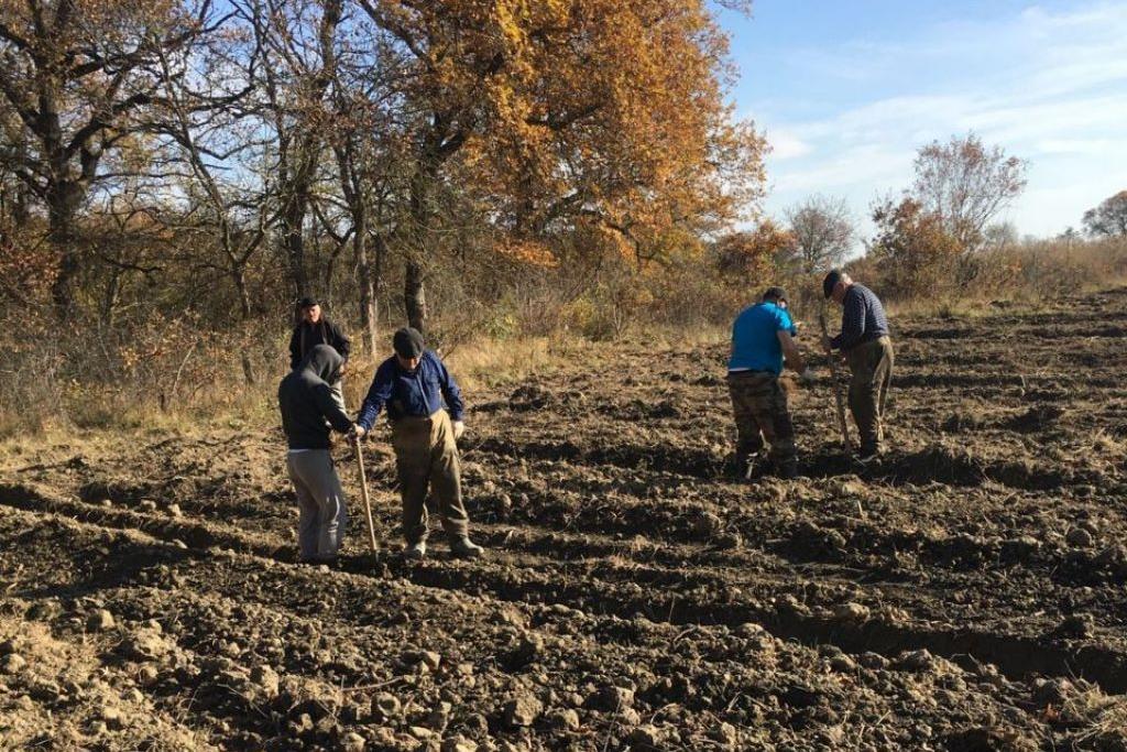 В Дагестане завершают весенние лесосовосстановительные работы