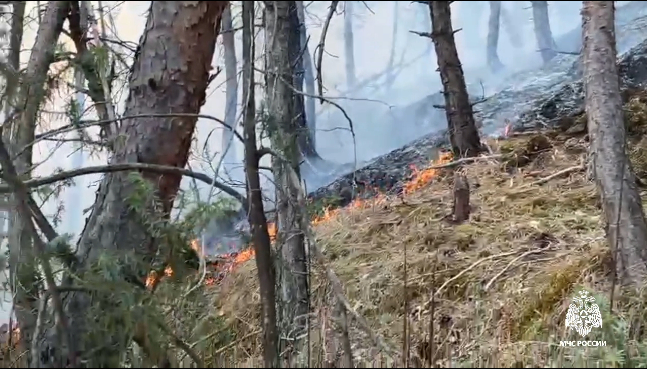 В Дагестане продолжается ликвидация ландшафтных пожаров