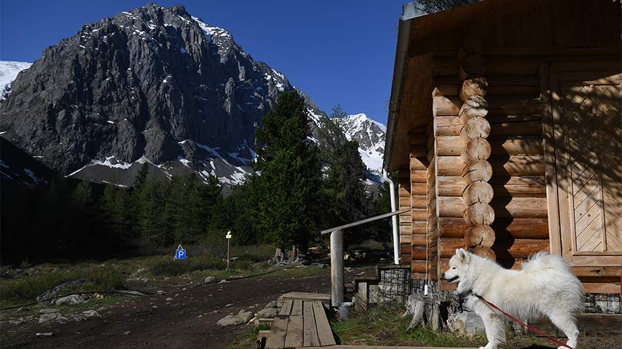 В России запустят эксперимент по легализации гостевых домов