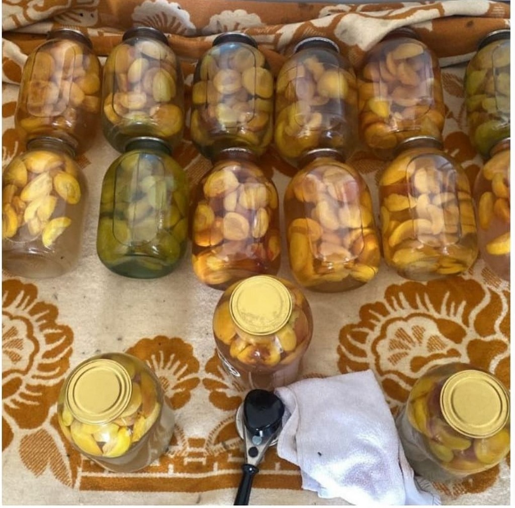 Соцработники из Карабудахкента приняли участие в акции «Дары осени»