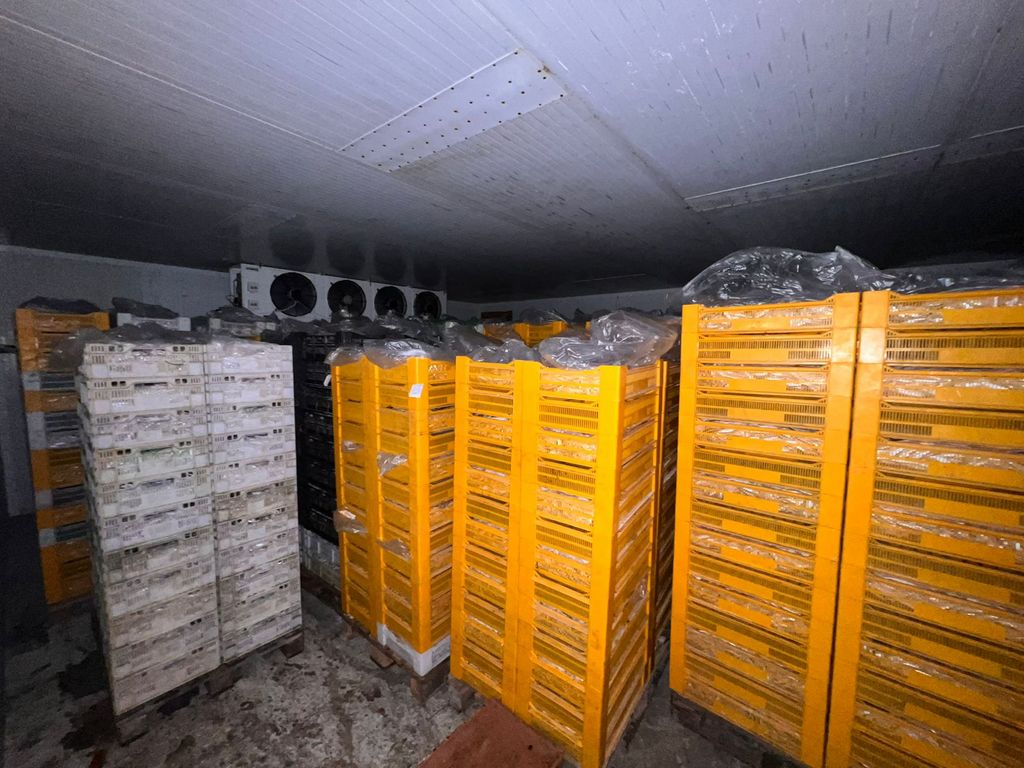 В Дагестане раскрыли преступную группу, занимающуюся контрабандой рыбы