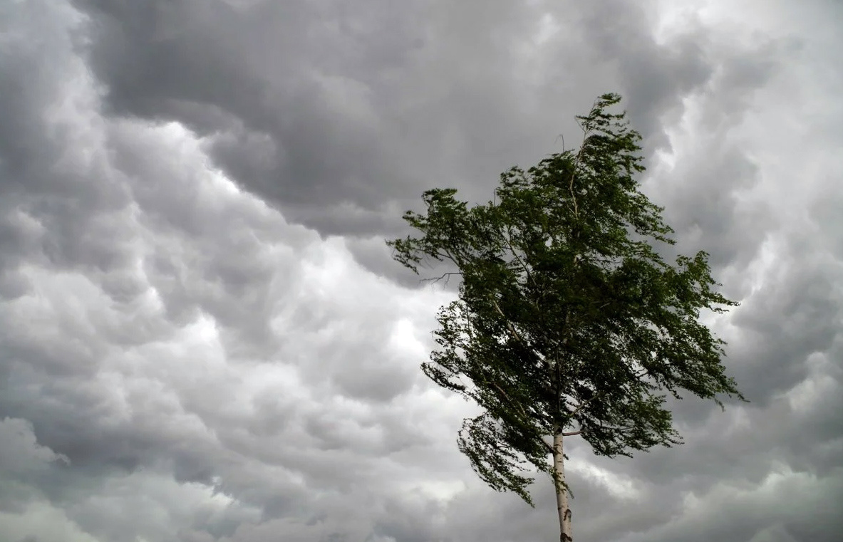 МЧС предупреждение о сильном ветре в Дагестане