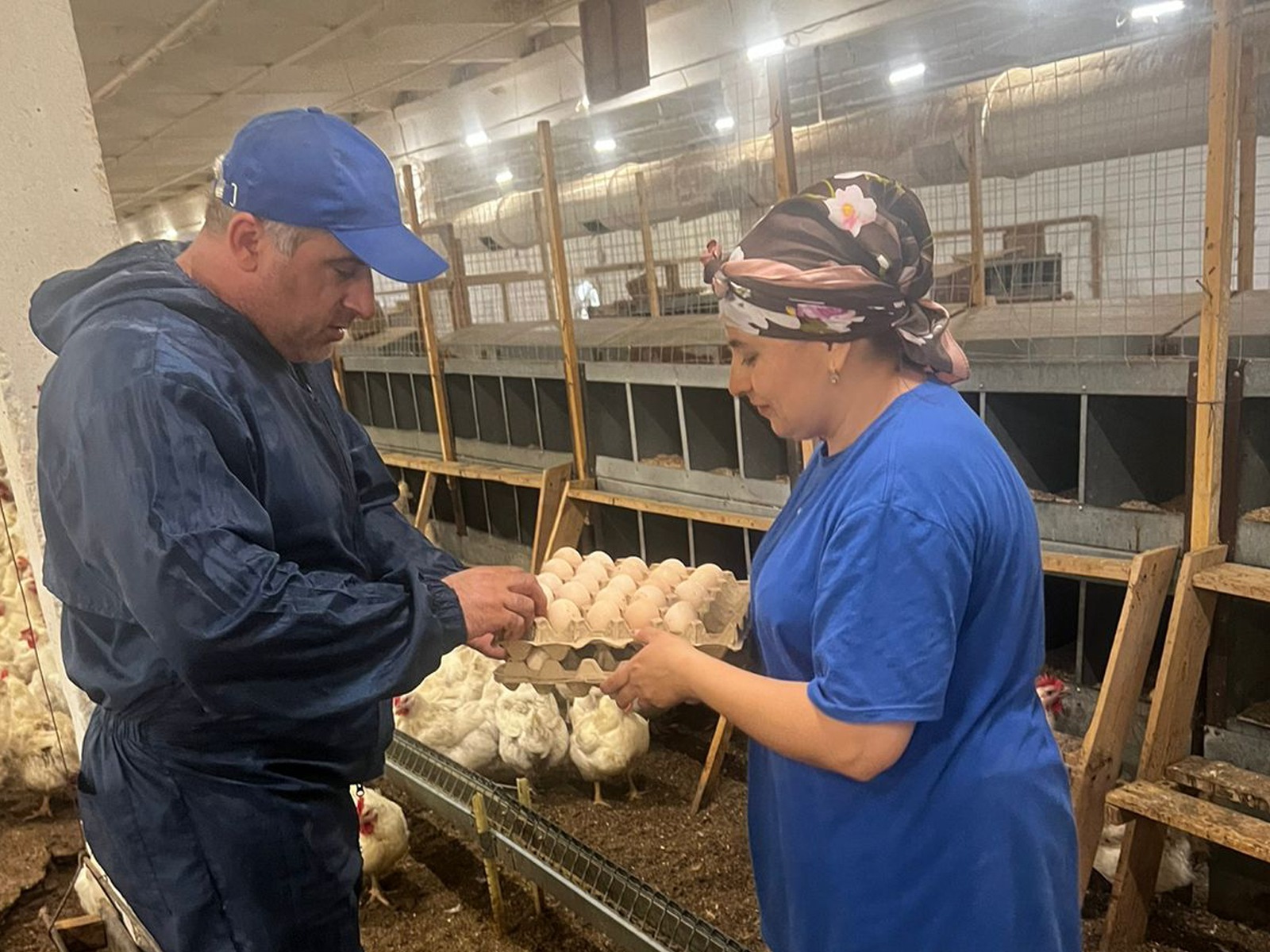 Минсельхозпрод Дагестана оценил работу племенного предприятия, специализирующегося на птицеводстве