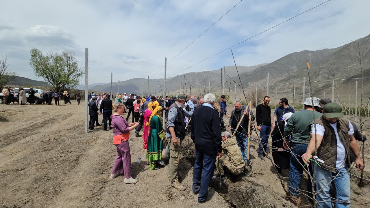 На юге Дагестана прошла закладка закладки саженцев первого суперинтенсивного сада