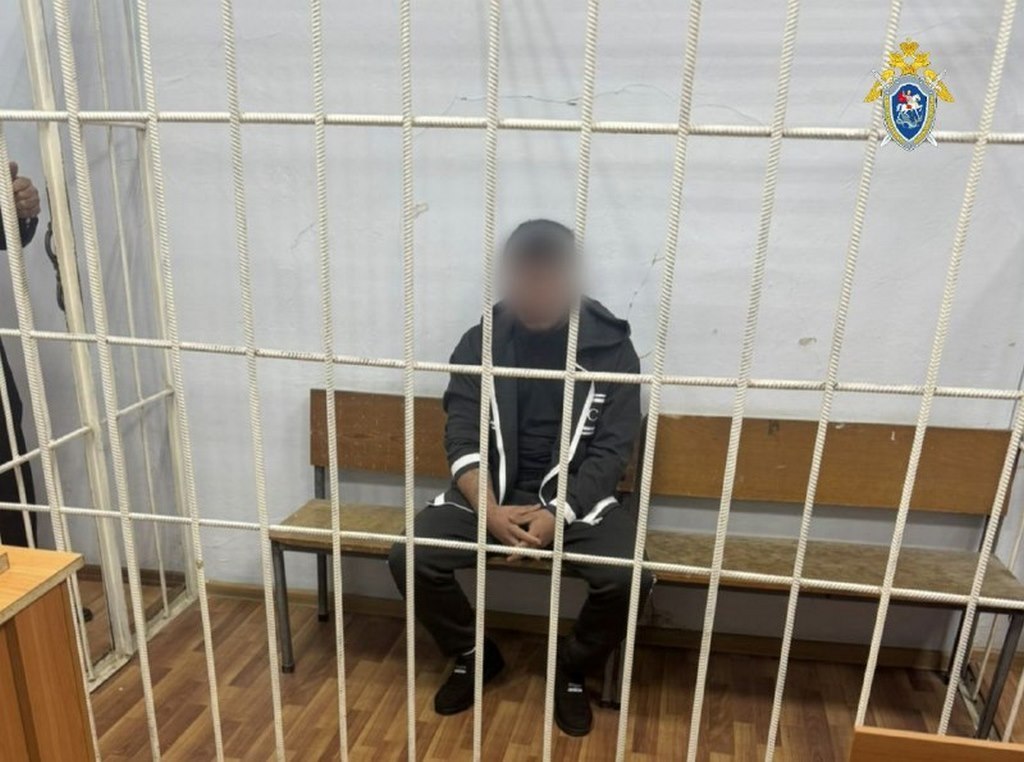 В Дагестане арестован водитель, устроивший смертельное ДТП с детьми