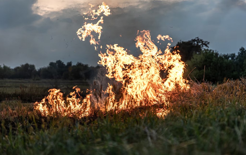 Чрезвычайная пожарная опасность наблюдается в Дербентском и Тарумовском районах Дагестана