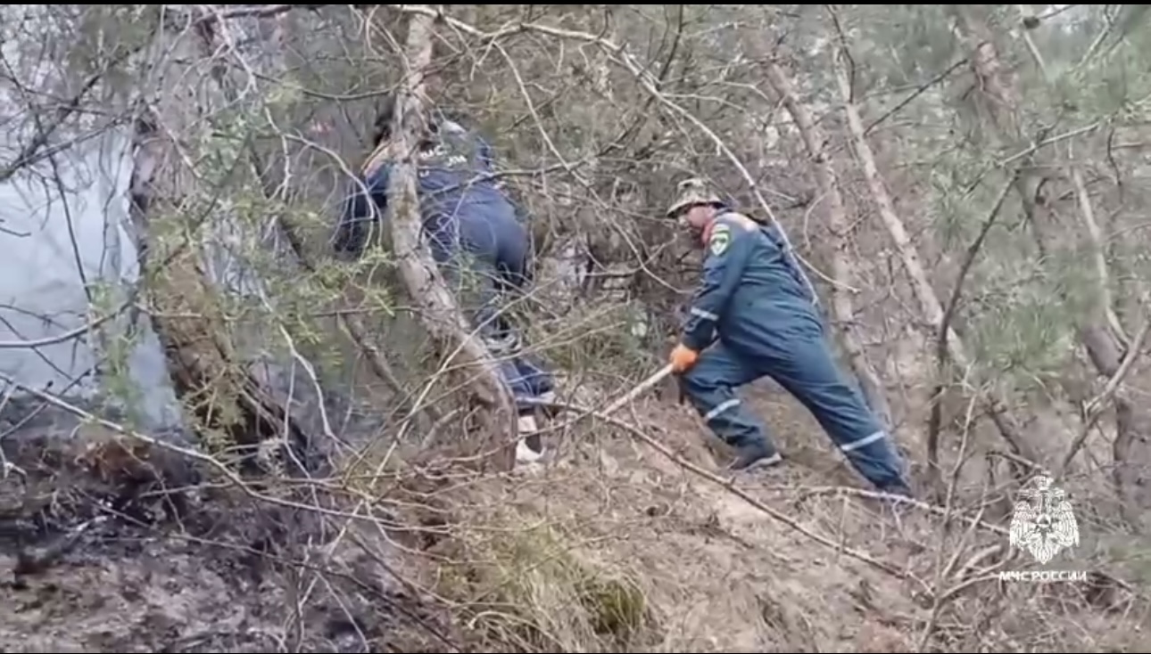 Ландшафтный пожар ликвидирован в Дагестане