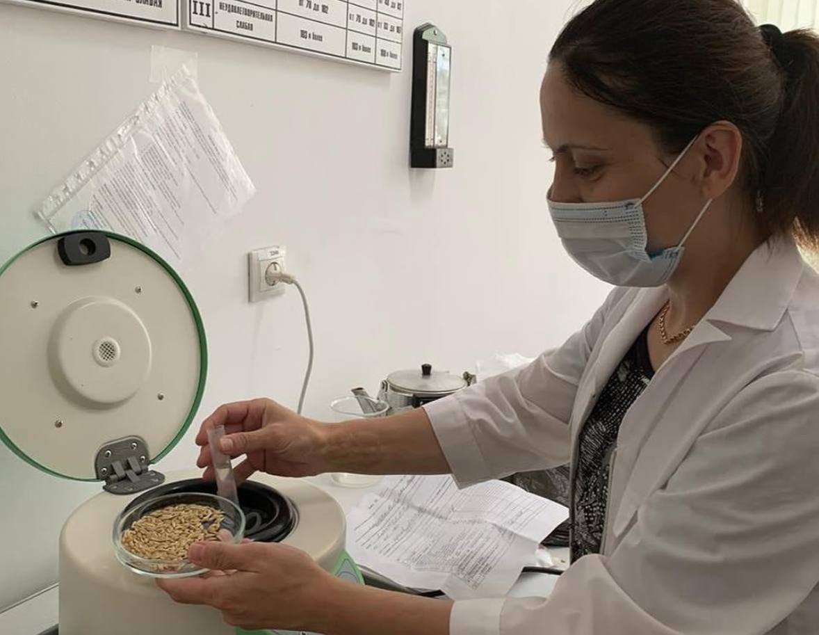 В Дагестане более 90% проверенного семенного материала допустили для сева сельхозкультур