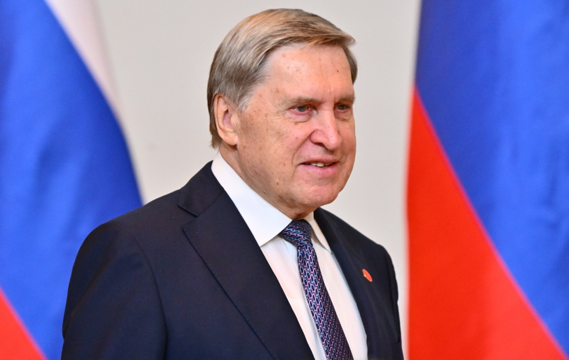 БРИКС рассмотрит заявку Турции на полноформатное членство в объединении