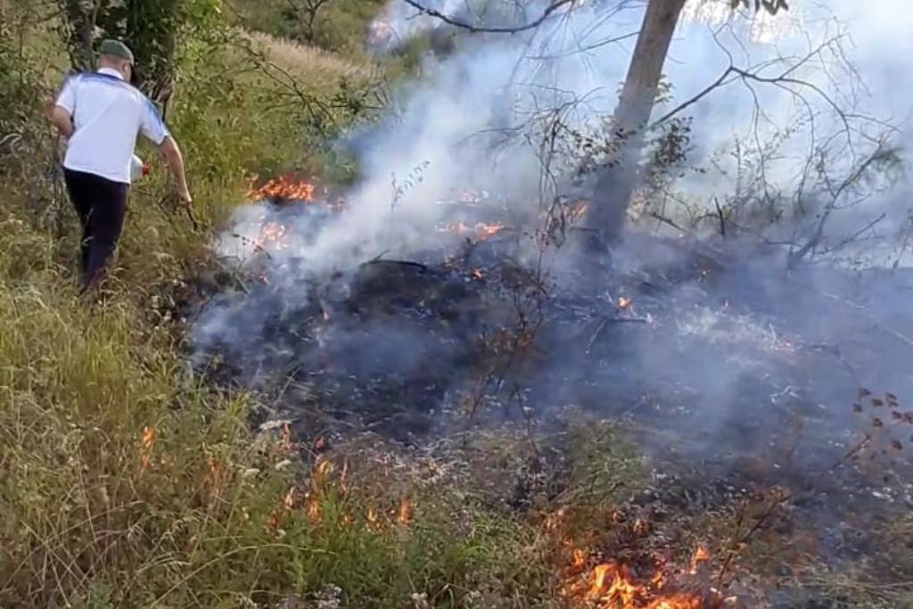 Вагаб Абдулхамидов: «Благодаря проводимым профилактическим мероприятиям в Дагестане удается избегать лесных пожаров»