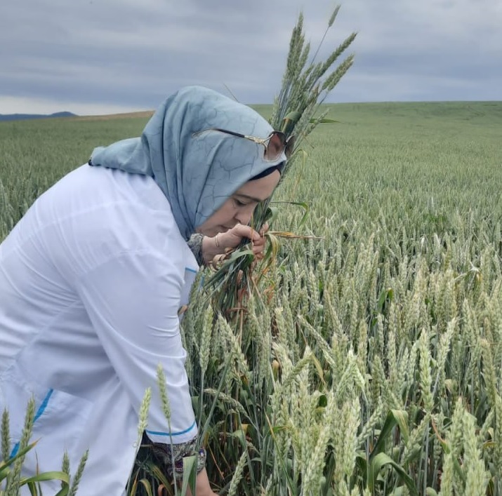 Россельхозцентр Дагестана охватил цифровым мониторингом более 1 млн га сельхозземель