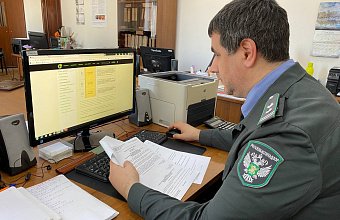 Россельхознадзор по Дагестану аннулировал 320 деклараций о соответствии на зерно