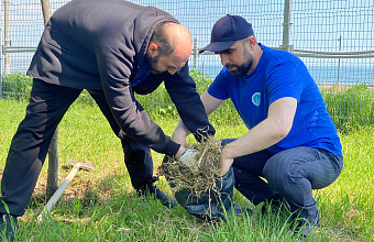 Коллектив Миннац Дагестана вместе с Героем РФ Александром Черновым присоединились ко Всероссийскому субботнику