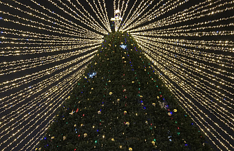 Открытие главной новогодней елки Махачкалы – фоторепортаж