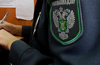 Предприятия Дагестана заставят соблюдать правила утилизации отходов животноводства через суд