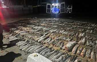 Крупную партию нелегальной осетрины обнаружили в Дагестане