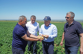 Овощеводы Кумторкалинского района Дагестана удвоят посадки в следующем году