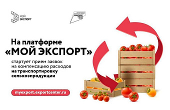 Дагестанские экспортеры сельхозпродукции смогут получить компенсации на логистику