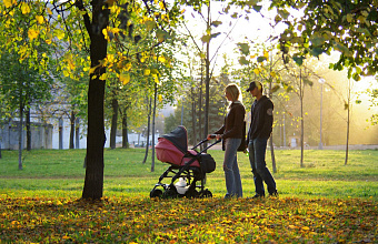 Материнский капитал могут разрешить тратить на обучение родителей