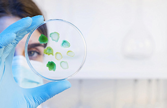 Правительство России утвердило распоряжение о создании центра развития мРНК-технологий