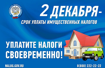 Срок уплаты имущественных налогов истекает 2 декабря 2024 года – УФНС