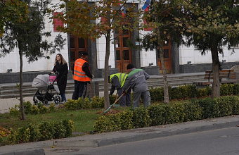 Структурные подразделения администрации Махачкалы готовятся к посадке 50 тысяч тюльпанов