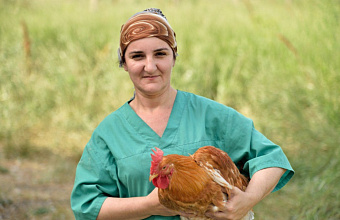 В Дагестане за 5 лет благодаря нацпроекту создано 200 объектов малого бизнеса в АПК