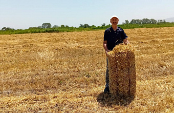 Уборочная кампания в Кизилюртовском районе набирает обороты
