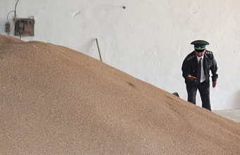 В Дагестане выявлено более 836 тысяч тонн недостоверно задекларированного зерна