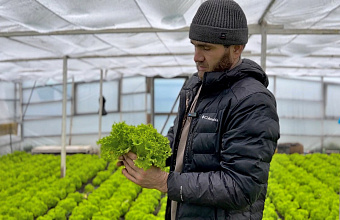 Аграрий из Дагестана выращивает уникальную рассаду капусты и салата