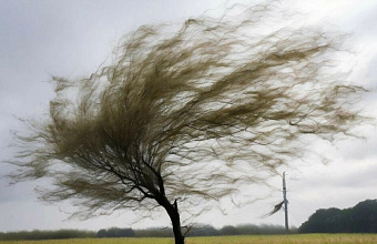 Усиление ветра до 20 м/с ожидается по районам Дагестана