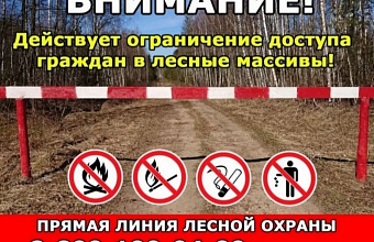 Даглесхоз ограничил доступ в леса республики из-за пожароопасности