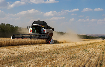 Кабмин выделил еще 2 млрд рублей на льготные кредиты для аграриев