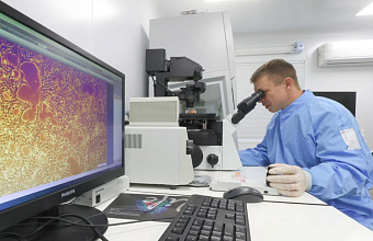 Роспотребнадзор опроверг выявление нового вируса в РФ