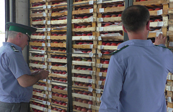 В Дагестане проконтролировано свыше 72 тыс. тонн импортной продукции