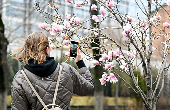 Блогеры с 1 мая получат два кода в ОКВЭД
